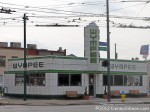 Olive, an urban dive