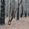 Natchez Trace Parkway