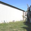 Henry's Rabbit Ranch, Staunton, IL