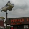 Pepper Tackle. Louisville, KY