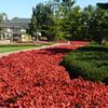 Oglebay Park, Wheeling, WV