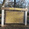 Natchez Trace Parkway