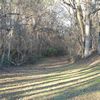 Natchez Trace Parkway