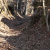 Natchez Trace Parkway