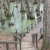 Natchez Trace Parkway