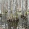 Natchez Trace Parkway