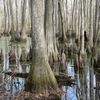 Natchez Trace Parkway