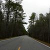 Natchez Trace Parkway