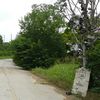 Shoe Tree, Stroud, OK