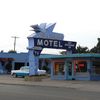 Blue Swallow, Tucumcari, NM