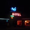 Blue Swallow, Tucumcari, NM